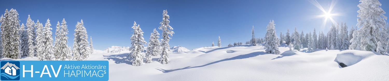Was Kostet Eine Hapimag Aktie 2022 Hapimag-Aktionärsvertretung - "H-AV Aktive Aktionäre Hapimags"