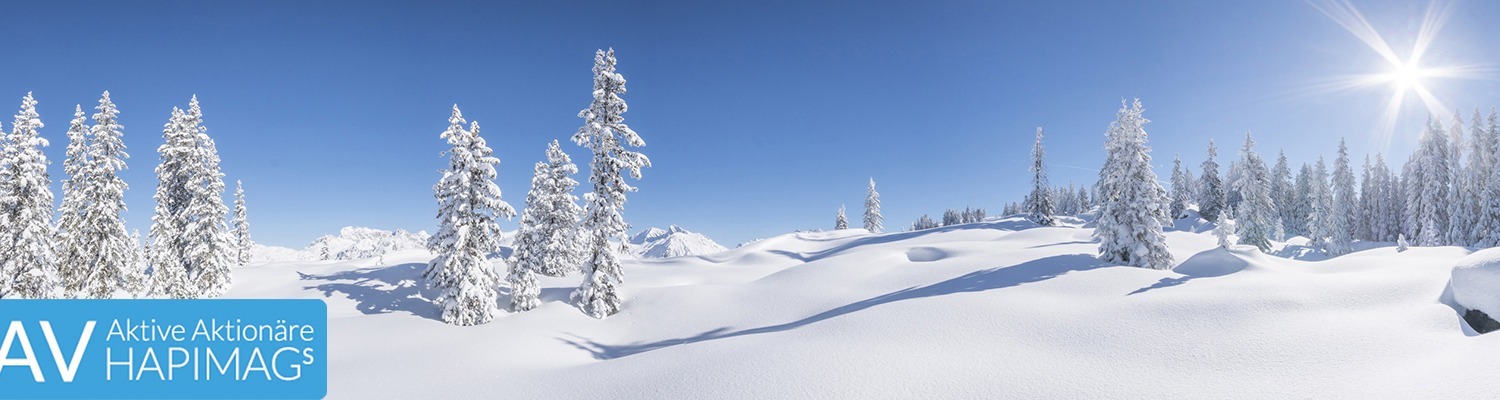 Winterpanorama